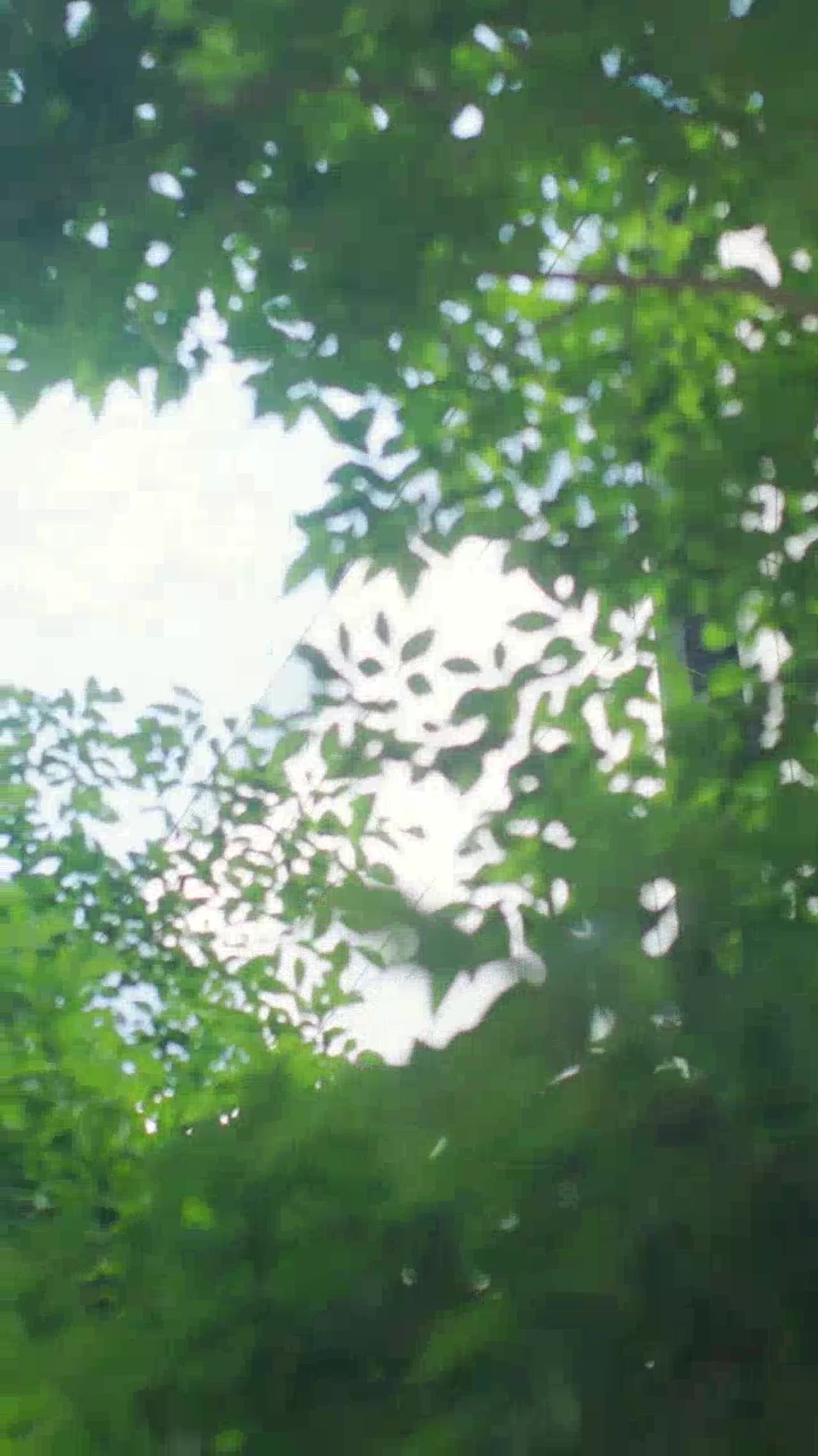 WHATSAPP VIDEO